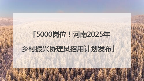 5000岗位！河南2025年乡村振兴协理员招用计划发布