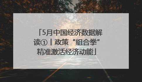 5月中国经济数据解读①丨政策“组合拳”精准激活经济动能