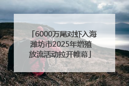 6000万尾对虾入海 潍坊市2025年增殖放流活动拉开帷幕