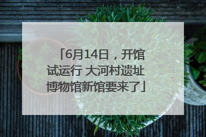 6月14日，开馆试运行 大河村遗址博物馆新馆要来了