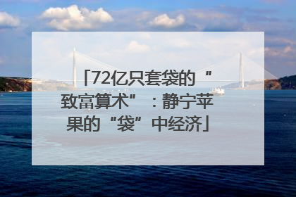 72亿只套袋的“致富算术”：静宁苹果的“袋”中经济