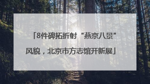 8件碑拓折射“燕京八景”风貌，北京市方志馆开新展