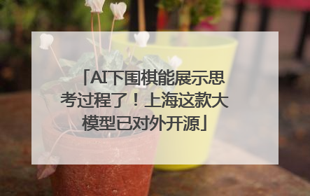 AI下围棋能展示思考过程了！上海这款大模型已对外开源