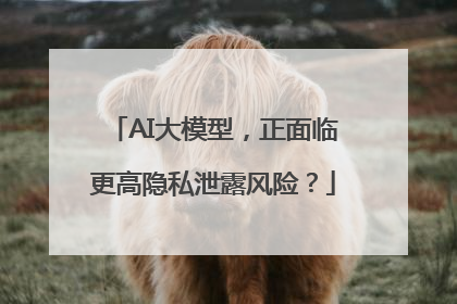 AI大模型，正面临更高隐私泄露风险？