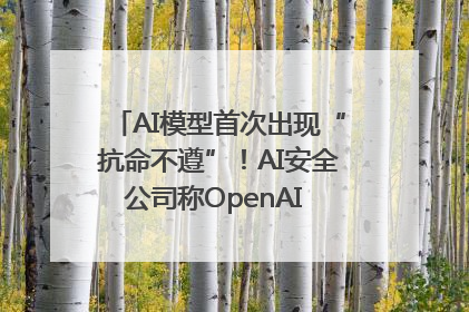 AI模型首次出现“抗命不遵”！AI安全公司称OpenAI o3模型出现异常