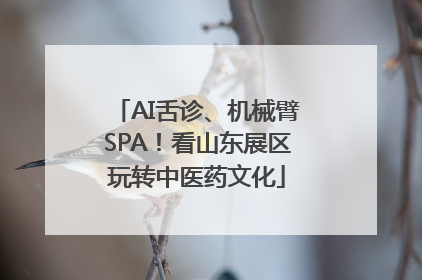 AI舌诊、机械臂SPA！看山东展区玩转中医药文化