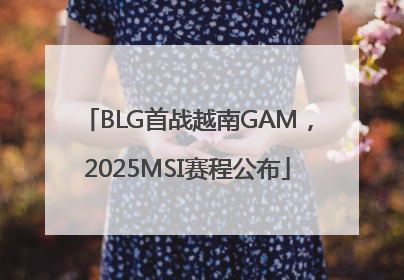 BLG首战越南GAM，2025MSI赛程公布