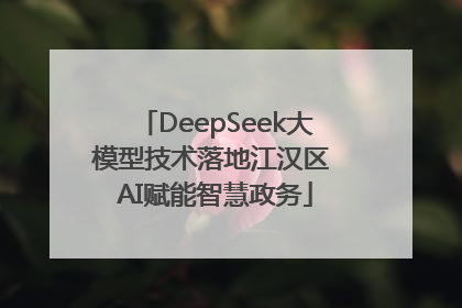 DeepSeek大模型技术落地江汉区 AI赋能智慧政务